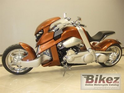 2012 Travertson V-Rex photo